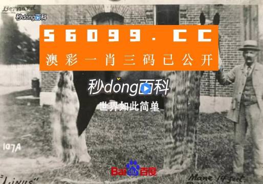 王中王資料心水一肖中特，深度解析與探索，王中王資料解析，探索心水一肖中的特質(zhì)與深度洞察
