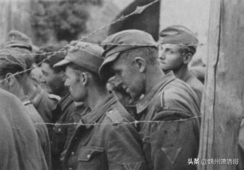 志愿軍軍歌與純音樂的交響，志愿軍軍歌與純音樂的交響，英勇旋律的交融與傳承