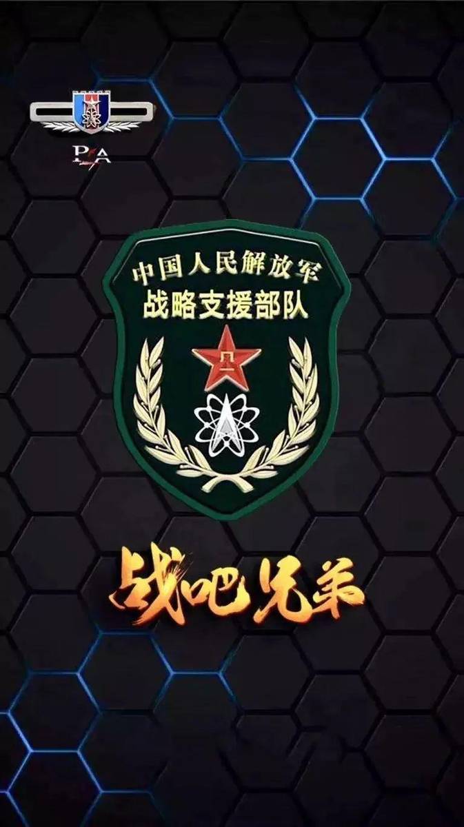 戰(zhàn)略支援部隊(duì)，作為一種特殊的軍種，戰(zhàn)略支援部隊(duì)，特殊軍種的獨(dú)特力量