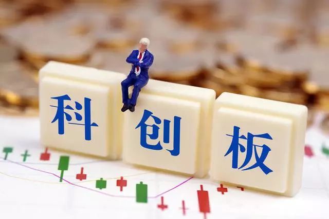 王中王287期指一生肖——探尋背后的神秘與魅力，王中王287期生肖背后的神秘魅力探尋