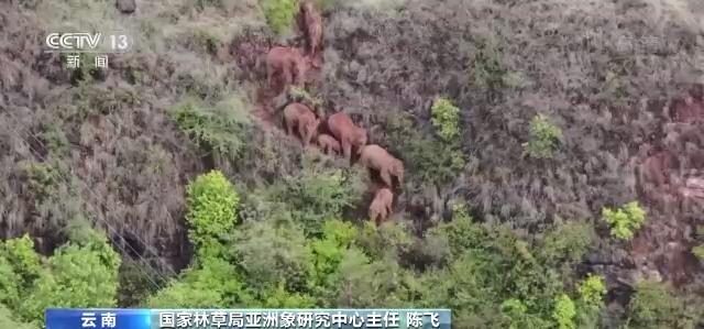 中國(guó)最新消息發(fā)布部門(mén)解析，中國(guó)最新消息發(fā)布部門(mén)深度解析