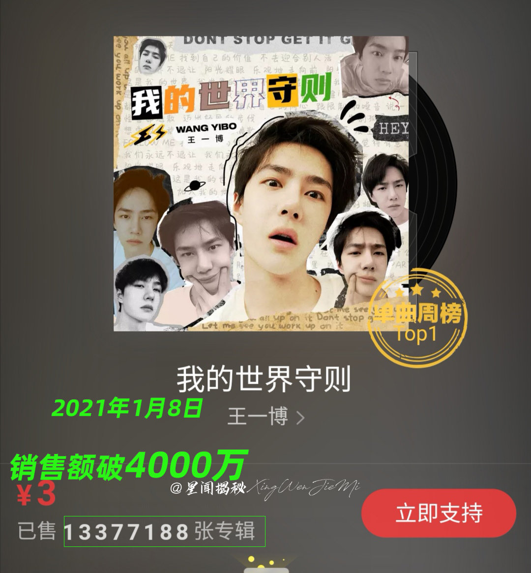 王中王一肖中特百分百的獨特魅力與重要性，王中王一肖中特，獨特魅力的百分百重要性解析