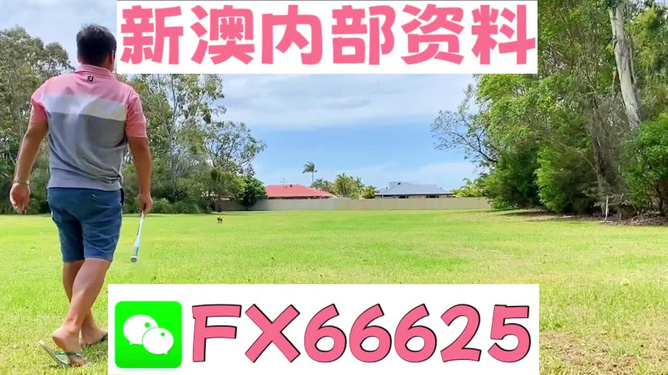 一肖二馬王中王，王者風(fēng)范與獨(dú)特魅力，王者風(fēng)范的獨(dú)特魅力，一肖二馬王中王
