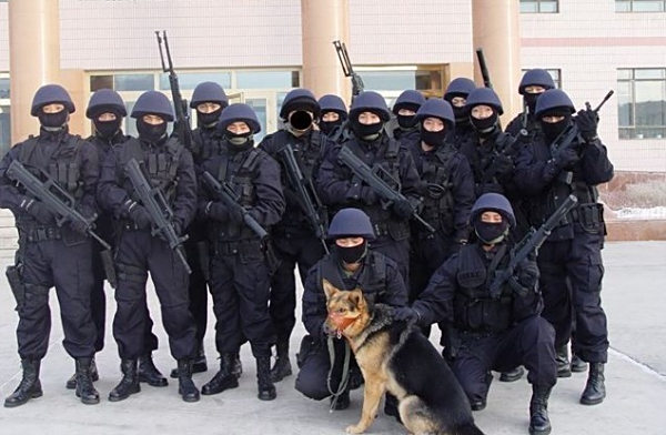 中國人民武裝部隊警察部隊內(nèi)衛(wèi)，守護(hù)國家安全與穩(wěn)定的堅強(qiáng)力量，中國人民武裝部隊警察部隊內(nèi)衛(wèi)，國家安全與穩(wěn)定的守護(hù)者