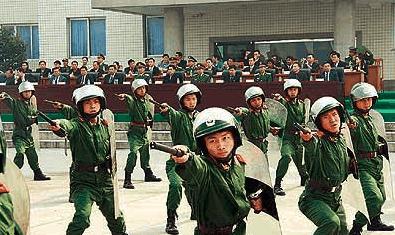 解放軍胸標看軍銜，解放軍胸標軍銜一覽