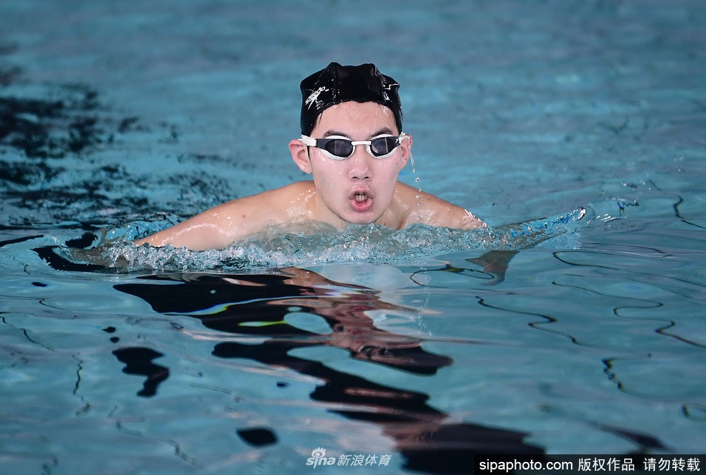 必中劉伯溫與神秘生肖的傳奇故事，劉伯溫與生肖傳奇，神秘命運的交織