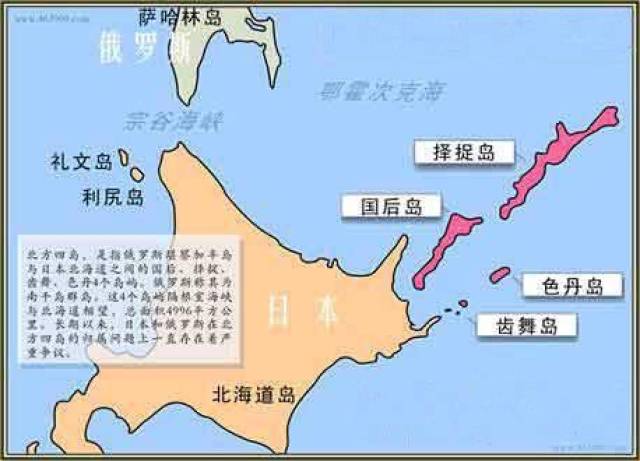 深度分析