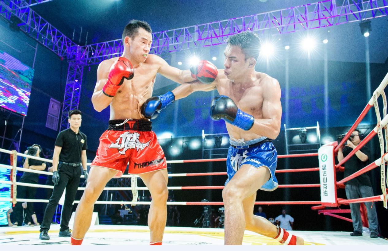 王中王欲錢(qián)猜一肖，揭秘生肖之謎與財(cái)富游戲，揭秘生肖之謎與財(cái)富游戲，王中王欲錢(qián)猜一肖探秘之旅