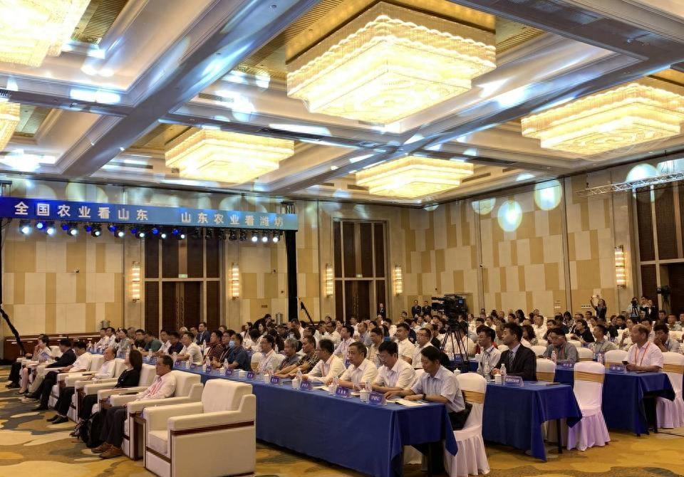 海峽新干線2023年最新一期回放，速度與激情的再度碰撞，海峽新干線2023年最新一期回放，速度與激情的再度交鋒