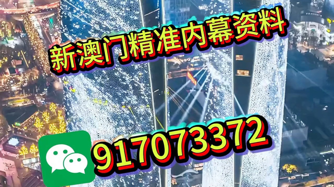 澳門正版資料2025年精準(zhǔn)大全——探索真實(shí)與免費(fèi)的平衡，澳門正版資料探索真實(shí)與免費(fèi)的平衡點(diǎn)，澳門資訊精準(zhǔn)大全（2025年）