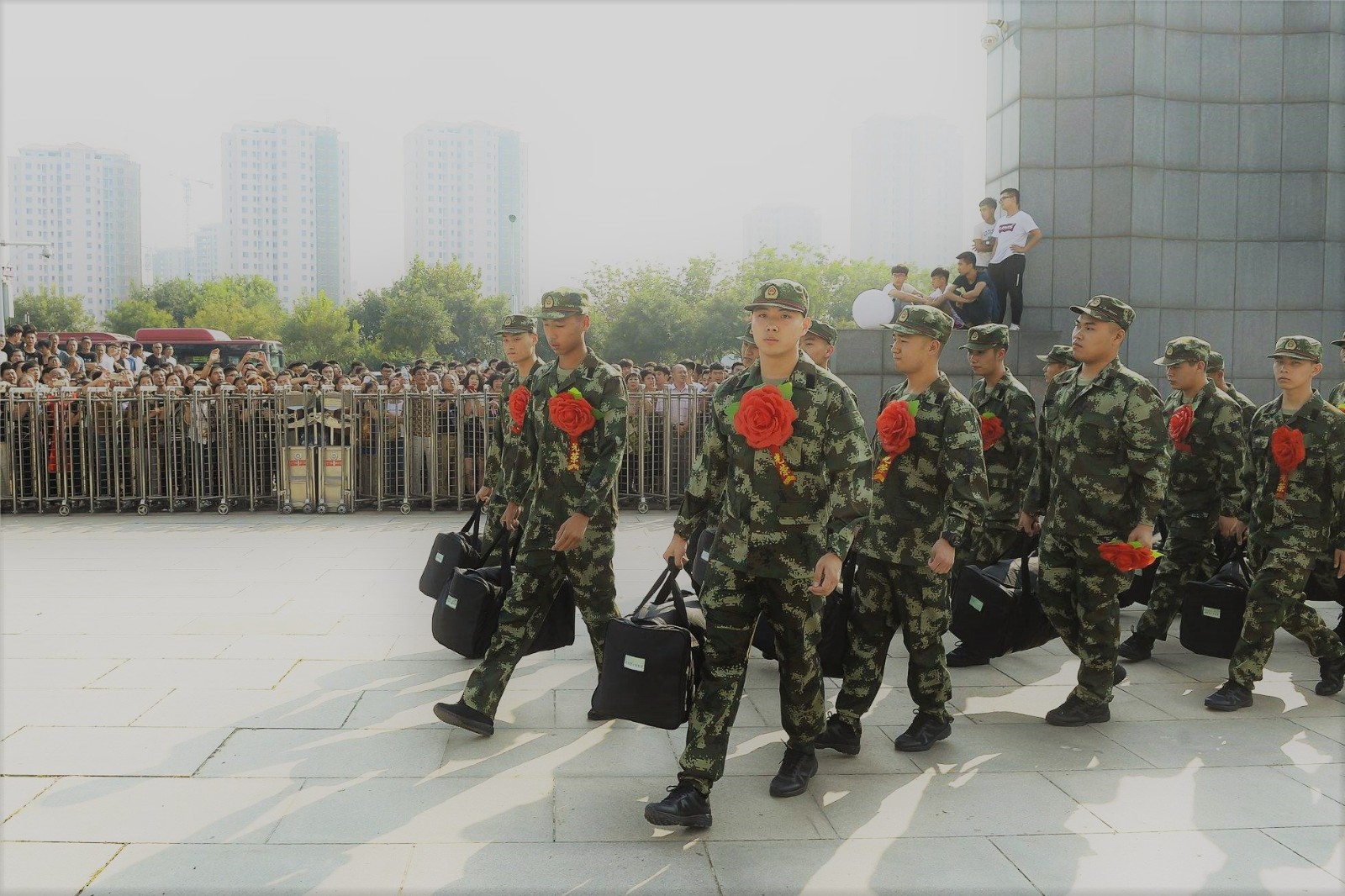 大學(xué)生參軍的主要軍種概述，大學(xué)生參軍主要軍種概覽