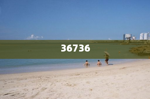 揭秘精準(zhǔn)新傳真背后的秘密，探索數(shù)字世界中的77777與88888的力量，揭秘精準(zhǔn)新傳真背后的秘密，數(shù)字世界中的力量探索——數(shù)字組合7與8的力量解讀