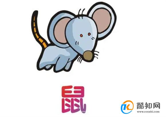 澳門老鼠報一肖一碼，揭秘背后的神秘與真相，澳門老鼠報一肖一碼揭秘背后的神秘真相