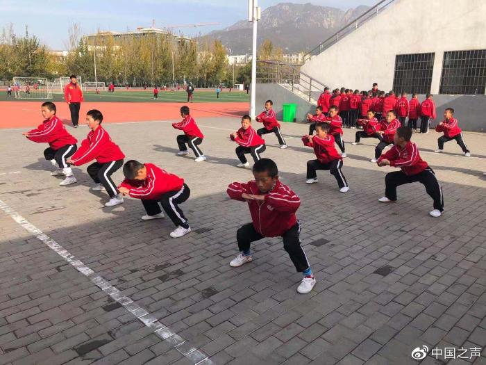 肖思遠(yuǎn)與塔溝武校，探尋背后的故事，肖思遠(yuǎn)與塔溝武校，背后的故事探尋