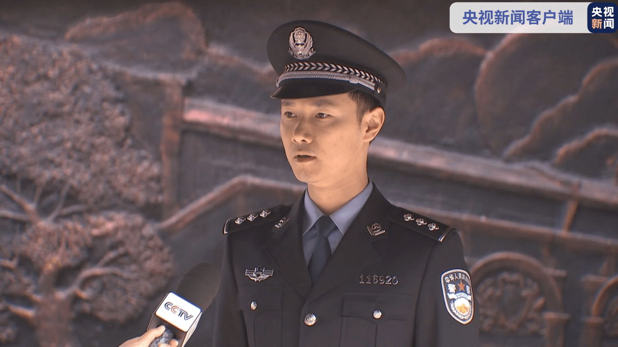 國(guó)家安全局與警察職業(yè)，職責(zé)、角色與差異解析，國(guó)家安全局與警察職業(yè)，職責(zé)、角色與差異深度解析