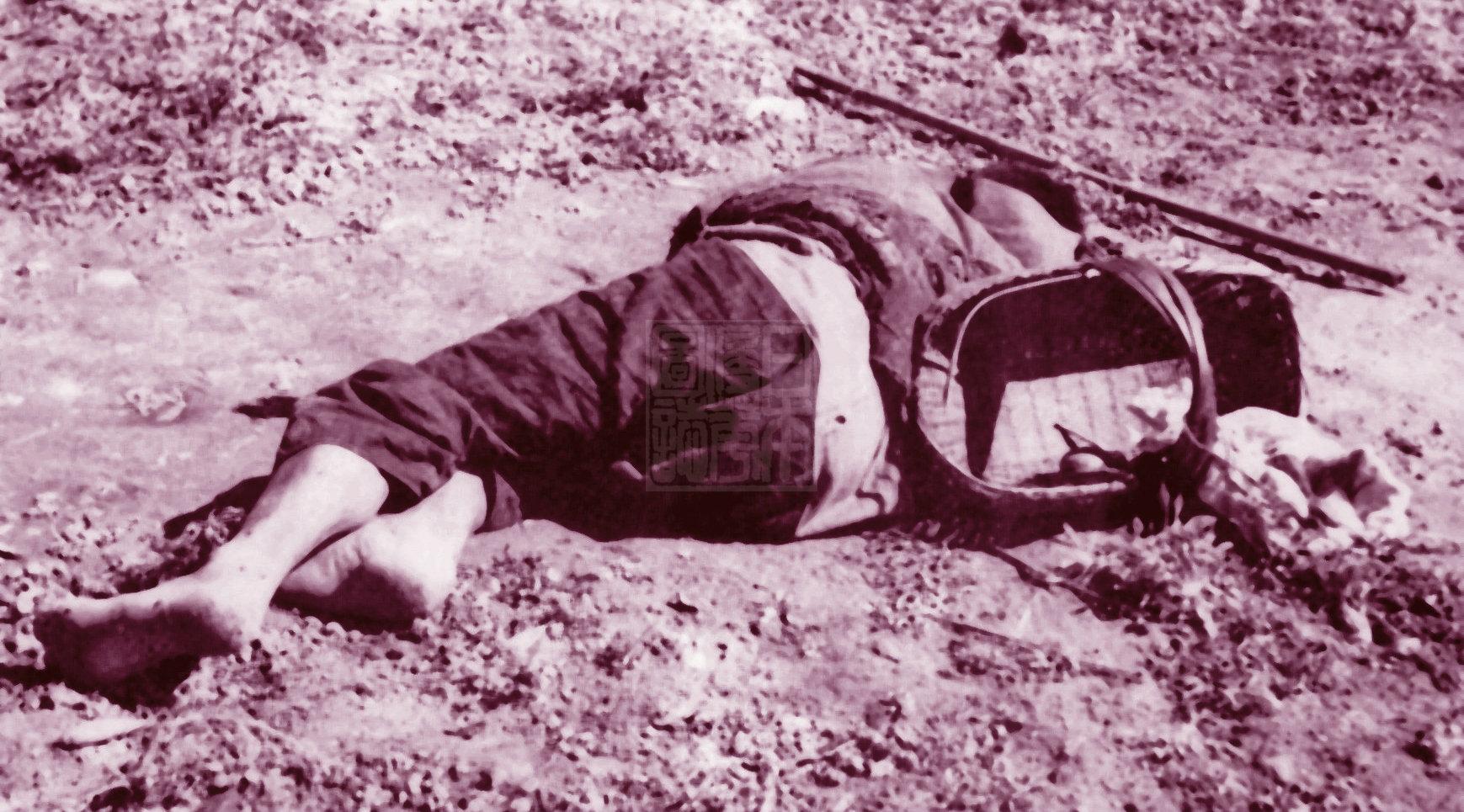 中國空軍裝備大揭秘，殲-20與殲-16數(shù)量驚人，中國空軍裝備揭秘，殲-20與殲-16數(shù)量驚人展露雄姿