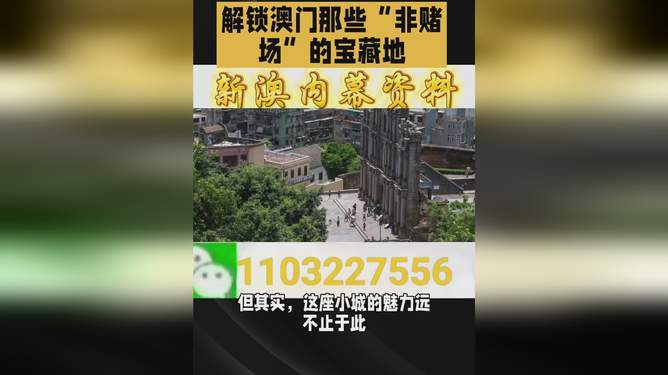 澳門必開一肖二碼，探索背后的神秘與魅力，澳門必開一肖二碼背后的神秘魅力探索