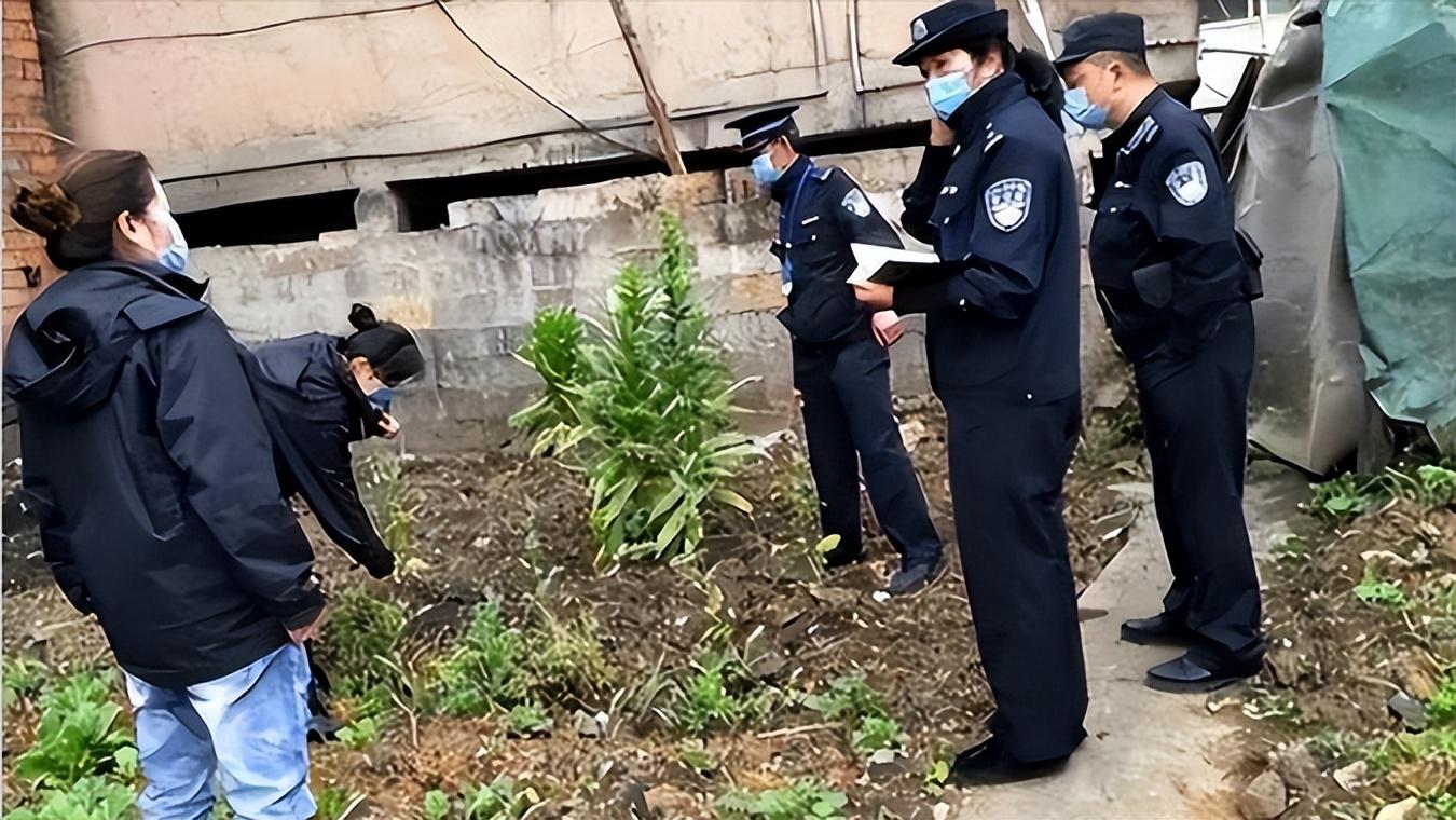 趙志紅，一位引領(lǐng)時(shí)代的杰出人物，趙志紅，時(shí)代引領(lǐng)者的杰出風(fēng)采