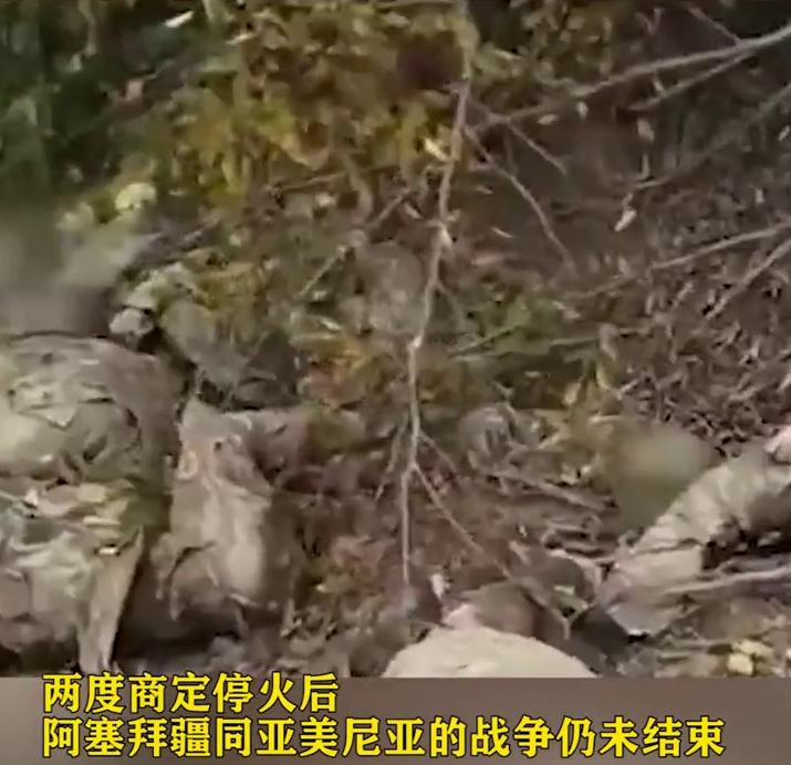 荒野2女兵的遭遇與成長，荒野女兵的遭遇與成長之路