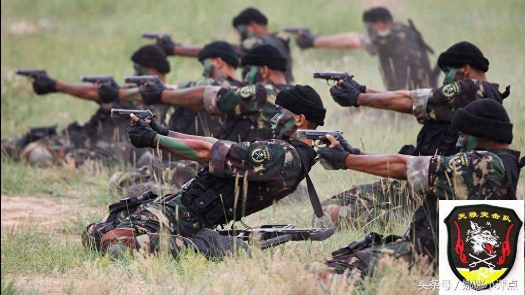 中國各大特種部隊(duì)，神秘而強(qiáng)大的力量，中國特種部隊(duì)，神秘力量的揭秘