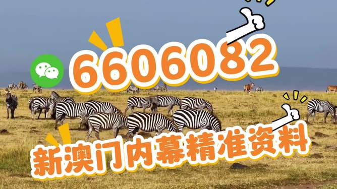 新澳門今晚特馬開號碼——探索與期待，新澳門今晚特馬開號碼，揭曉與期待