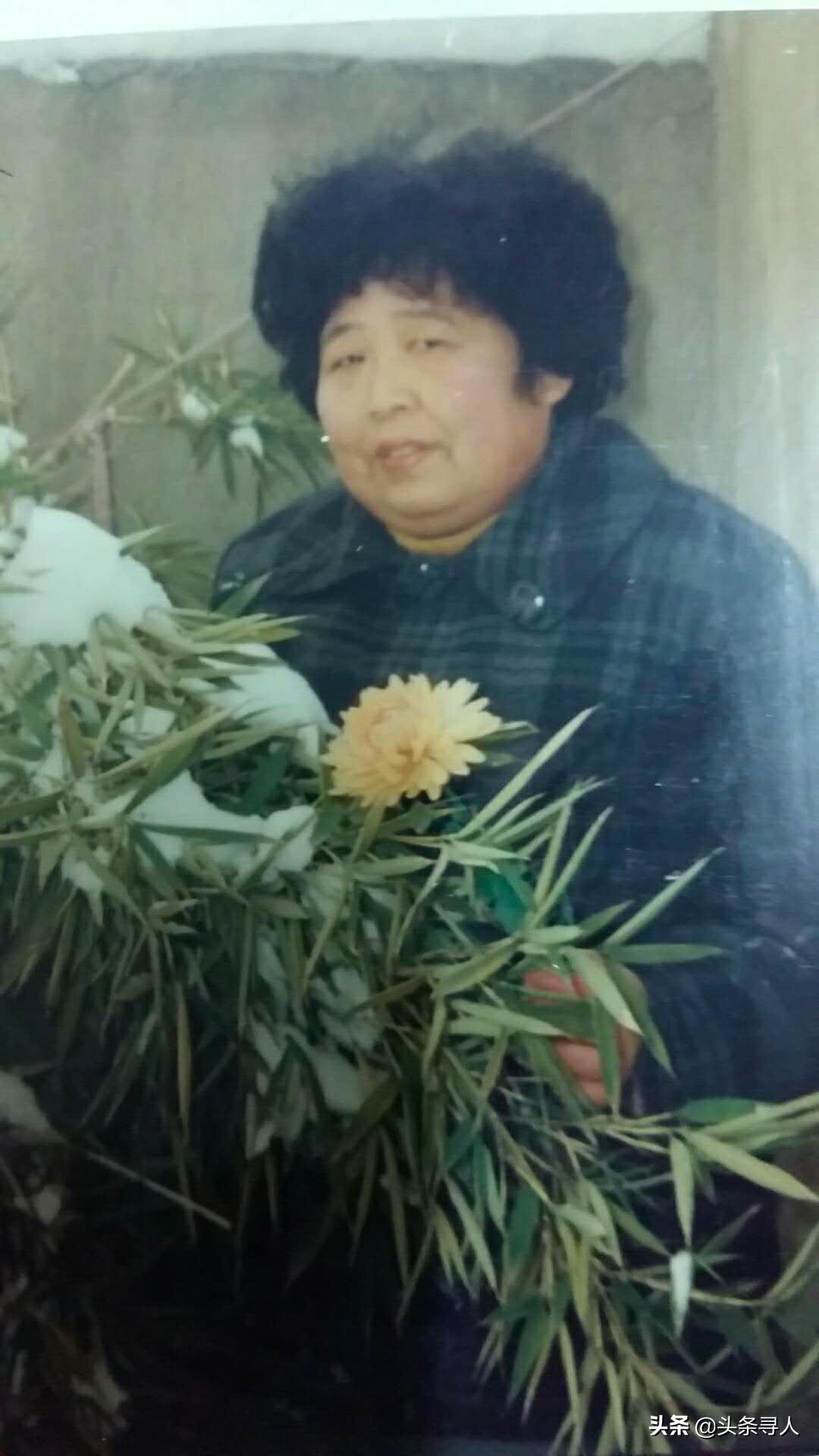 江蘇今日的新聞頭條，聚焦江蘇新動態(tài)與發(fā)展亮點，江蘇新動態(tài)與發(fā)展亮點，今日新聞頭條聚焦江蘇新進展