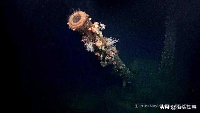 三聯(lián)裝魚雷發(fā)射管，現(xiàn)代海軍的致命武器，三聯(lián)裝魚雷發(fā)射管，現(xiàn)代海軍的致命利器