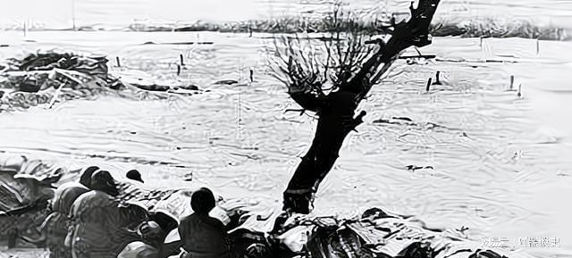 塔山戰(zhàn)役中的闕漢騫與林偉儔，英勇抗戰(zhàn)的典范，塔山戰(zhàn)役中的闕漢騫與林偉儔，英勇抗戰(zhàn)的典范人物傳記