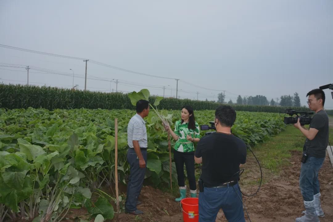 中央電視新聞13臺在線直播觀看，實時了解國內(nèi)外新聞動態(tài)的重要渠道，中央電視新聞13臺在線直播，實時掌握國內(nèi)外新聞動態(tài)的重要窗口