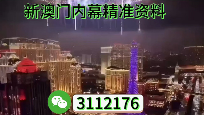 澳門今晚開特，探尋未來的繁榮與魅力，澳門未來繁榮與魅力探尋，今晚特開啟新篇章