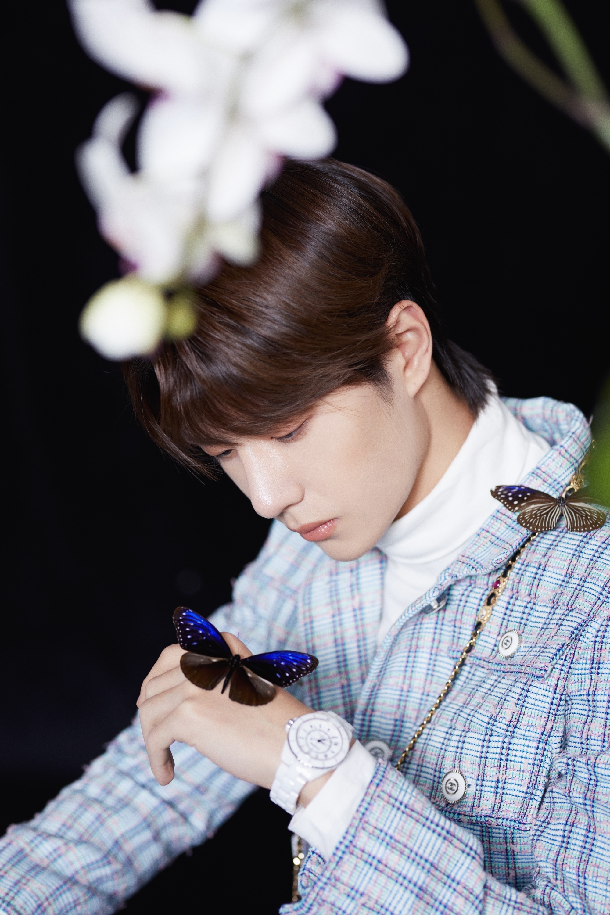 探索如意鐵王中王一肖中特的神秘世界，如意鐵王中王一肖中特，神秘世界的探索