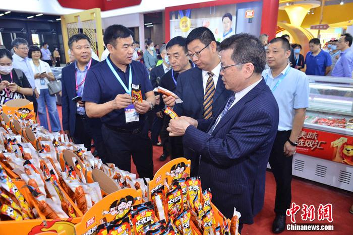 王中王一肖中特，探尋成功的密碼與未來的藍(lán)圖（2020年展望），探尋成功密碼與未來藍(lán)圖，王中王一肖展望2020年特輯