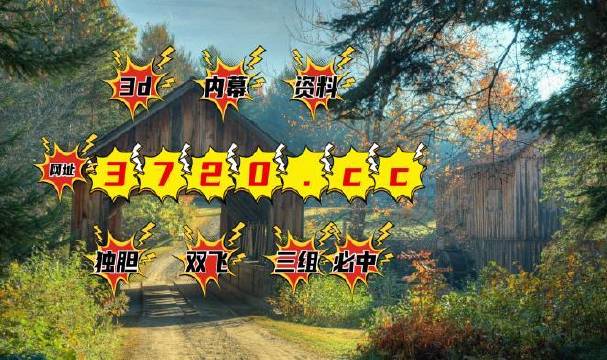 王中王四肖中特一期期誰——探尋背后的秘密，探尋王中王四肖中特背后的秘密