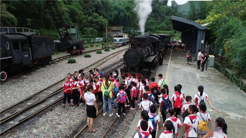 揭秘劉伯溫全年免費(fèi)料中一肖的神秘面紗，劉伯溫全年免費(fèi)料中一肖揭秘，神秘預(yù)測(cè)背后的真相